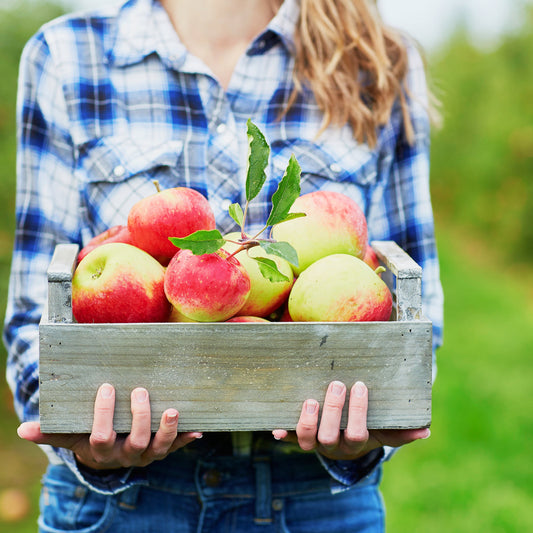 ApPEELing Ways to Prepare Your Fall Bounty