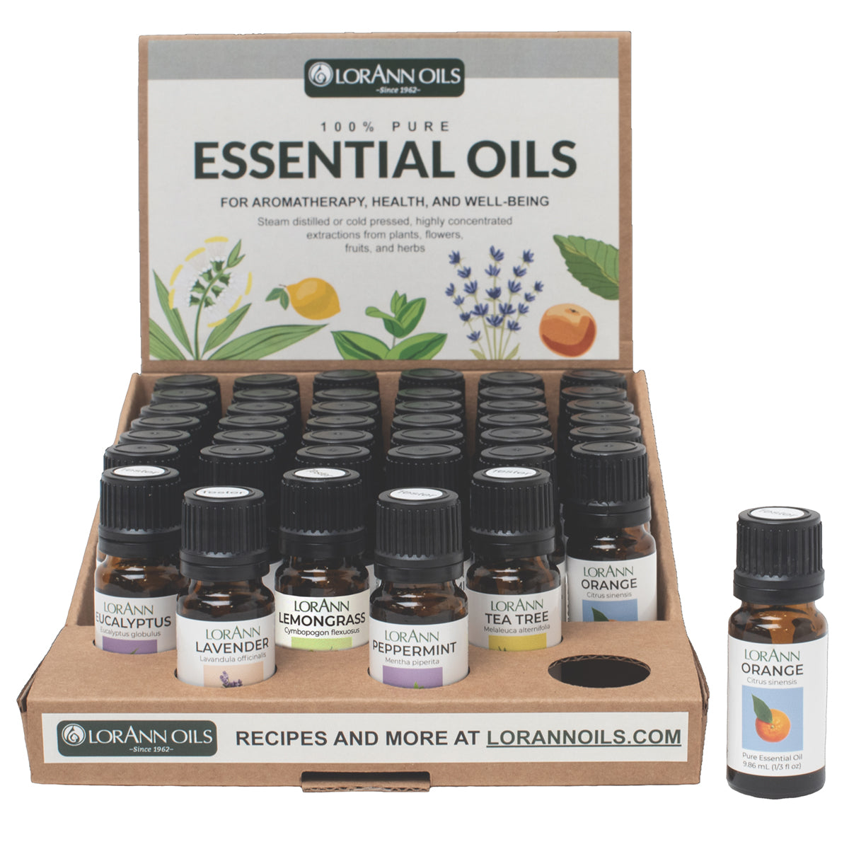 ESSENTIAL OIL, 36 UNIT PRE-PACKED POP-UP DISPLAY