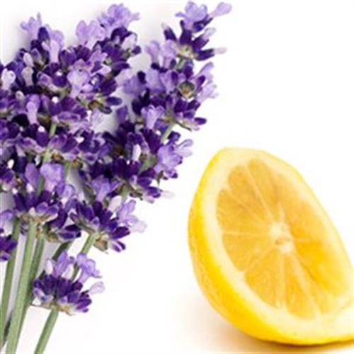 Natural Carpet & All-Purpose Deodorizer