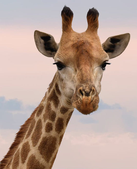 8 Educational (and Fun!) Things To Do With Your Kids At Home